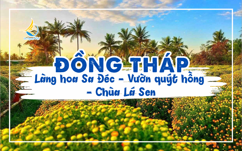 Đồng Tháp: LÀNG HOA SA ĐÉC - VƯỜN QUÝT HỒNG - CHÙA LÁ SEN