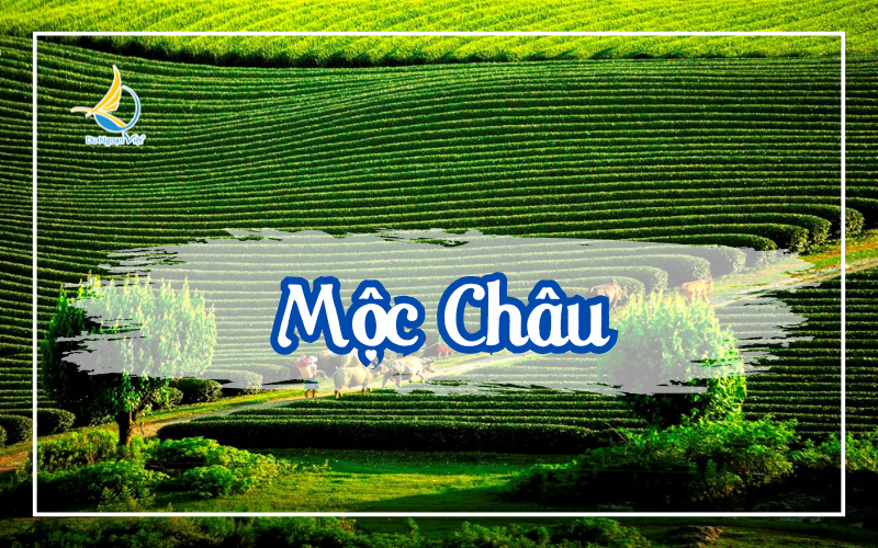 MỘC CHÂU